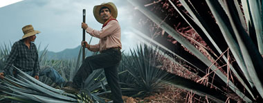 あすつく】【正規品】クエルボ 1800 アネホ スーパー プレミアム