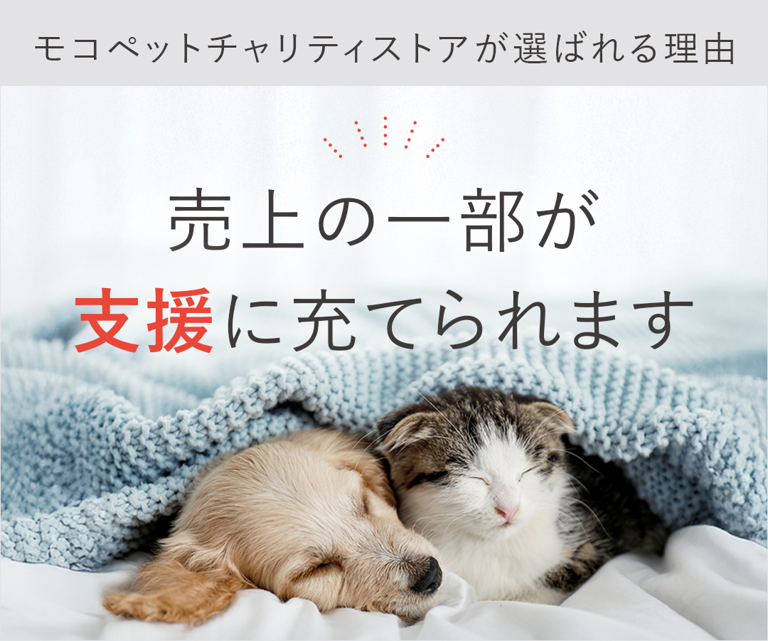 ロイヤルカナン（ROYAL CANIN） セイバー エクシジェント 4kg / 味わい