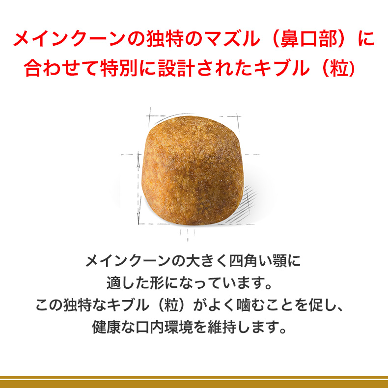 CANIN メインクーン ドライフード 2kgを2袋 CANIN メインクーン