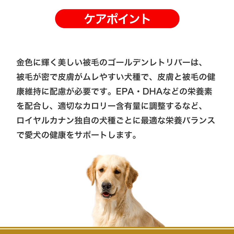 ロイヤルカナン（ROYAL CANIN） ゴールデンレトリバー 成犬〜高齢犬用