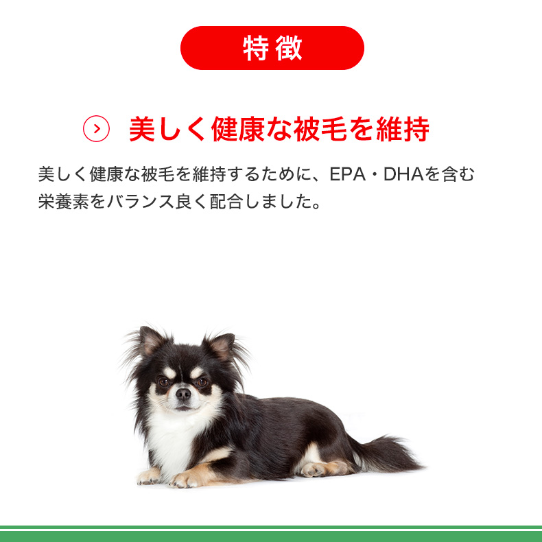 ロイヤルカナン（ROYAL CANIN） ミニ インドア アダルト 8kg / 室内で