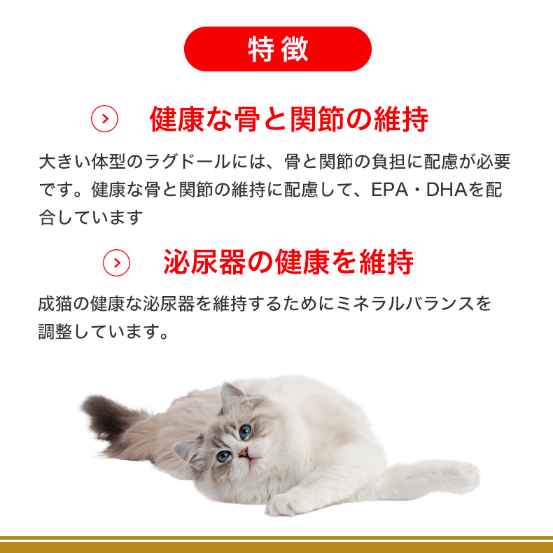 ロイヤルカナン（ROYAL CANIN） ラグドール 2kg / ラグドール 成猫用