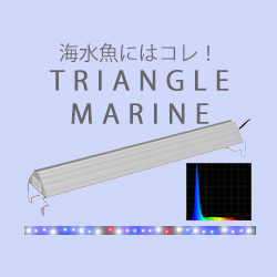 アクロ TRIANGLE LED GROW Pro 600 8900lm