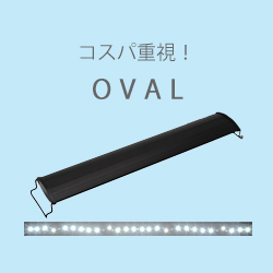 アクロ TRIANGLE LED GROW Pro 600 8900lm