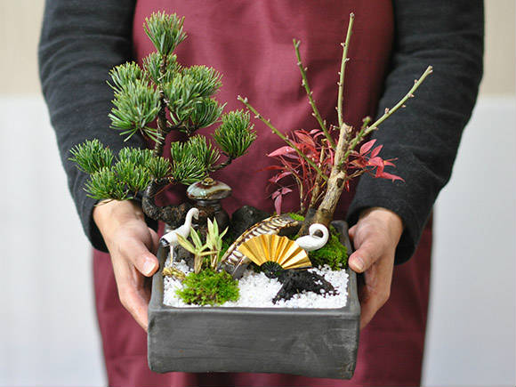 盆栽 モダン松竹梅の寄せ植え 6号サイズ 迎春の盆栽 新春 植物 豪華