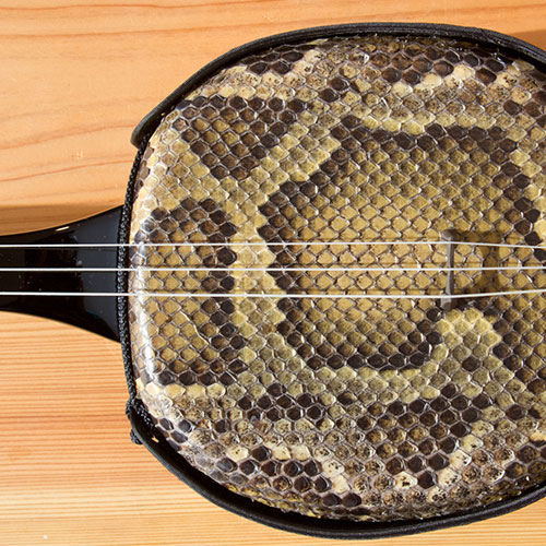 楽天市場】沖縄三線 本皮の通販 沖縄三線 島黒木！島クルチ！ 本蛇