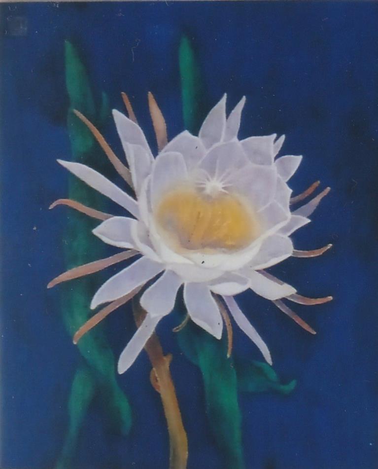 月下美人華 | 一般社団法人 新興美術院