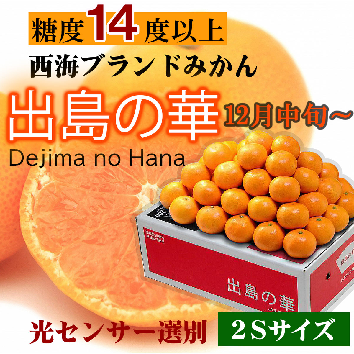 数量限定】出島の華2Sサイズ約5kg【送料込】 | 白木果樹園