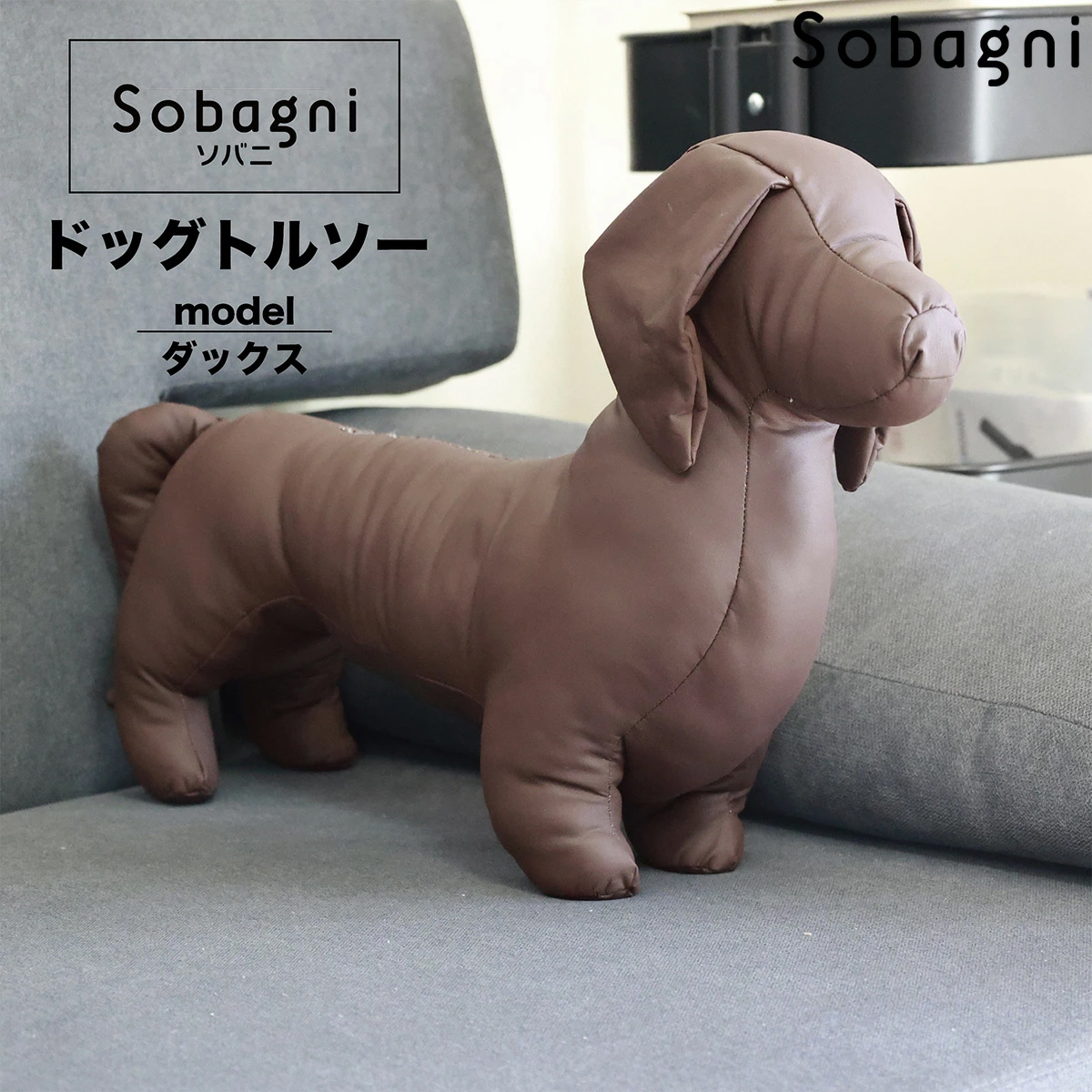 ソバニ公式 ドックトルソー ダックス ダックスフンド 限定1点のみ