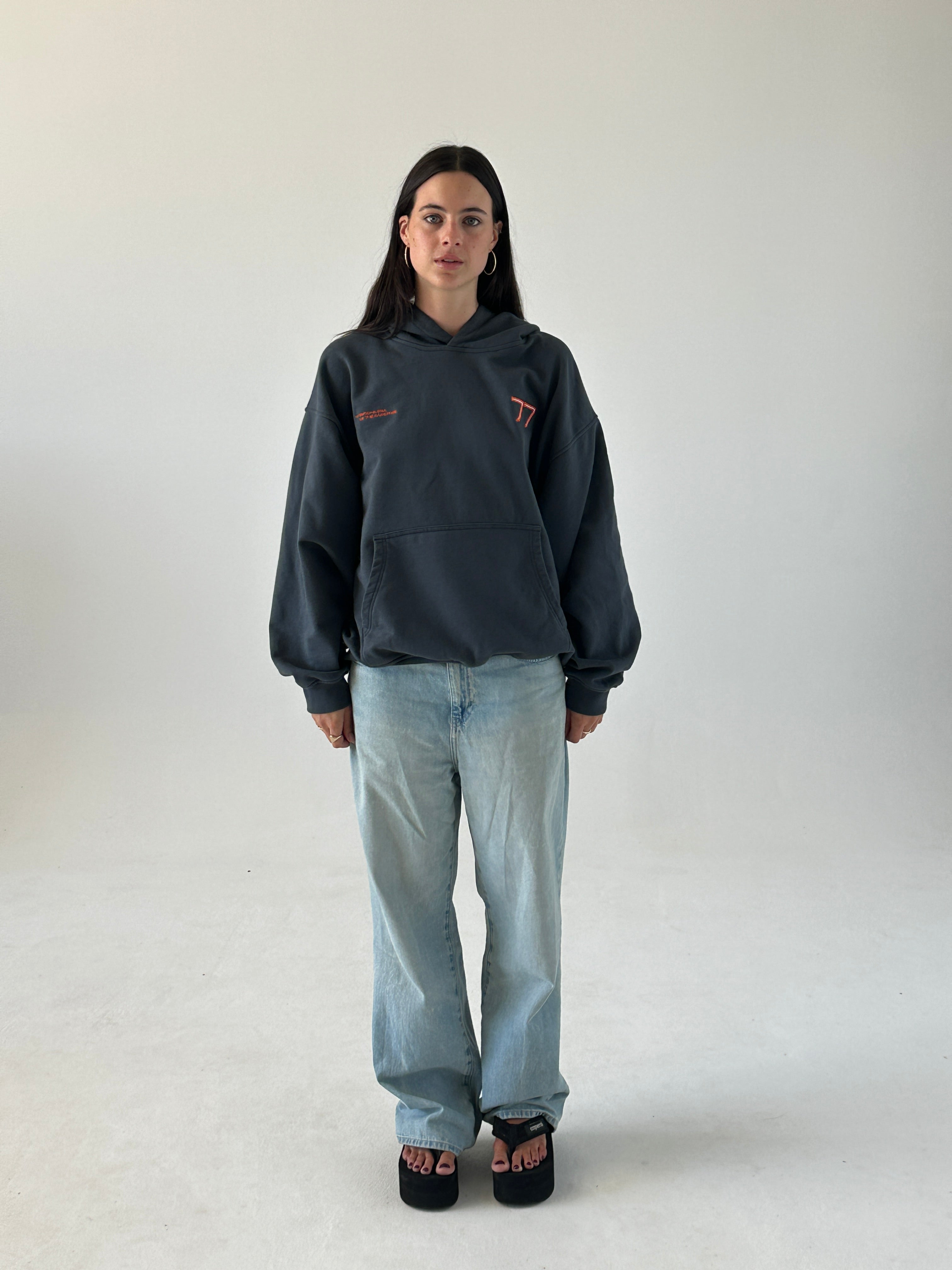 SEVENTY SEVEN GREY HOODIE – SOLAMUSA