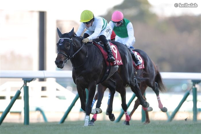 アネモネステークス(桜花賞指定オープン)の馬柱【1992年3月7日阪神11R