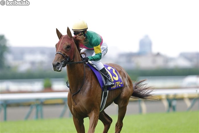 JRA 実使用 ゼッケン ローズステークス GⅡ GⅠ出走馬 タガノ