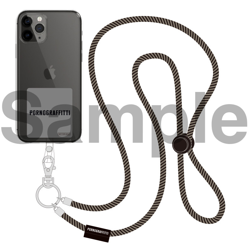 ポルノグラフィティ全書～ALL TIME SINGLES～」・「19thライヴ