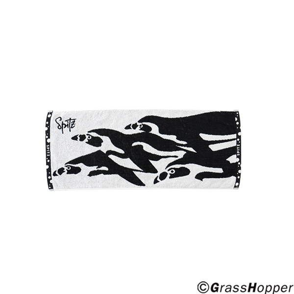 SPITZ 2024 LIVE INFO｜SPITZ mobile