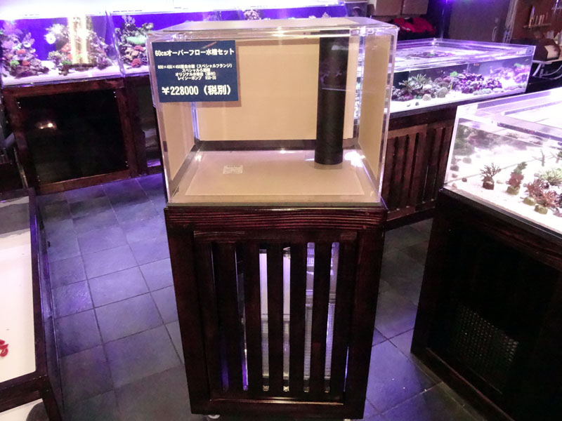 600オーバーフロー水槽セット、350グリーディ専用台セット。 | 珊瑚