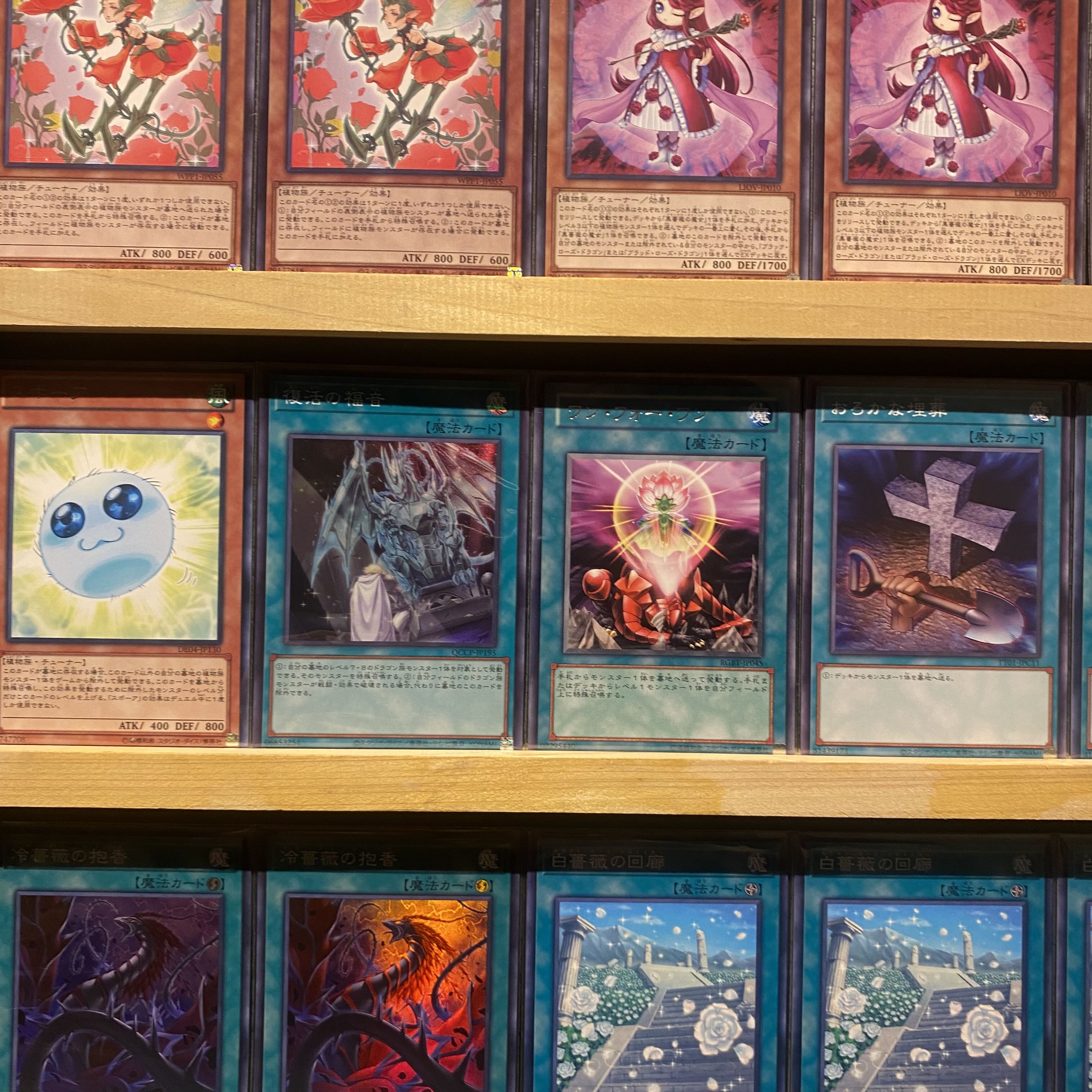 遊戯王 【本格構築‼️】ローズドラゴン 構築済みデッキ‼️ 遊戯王