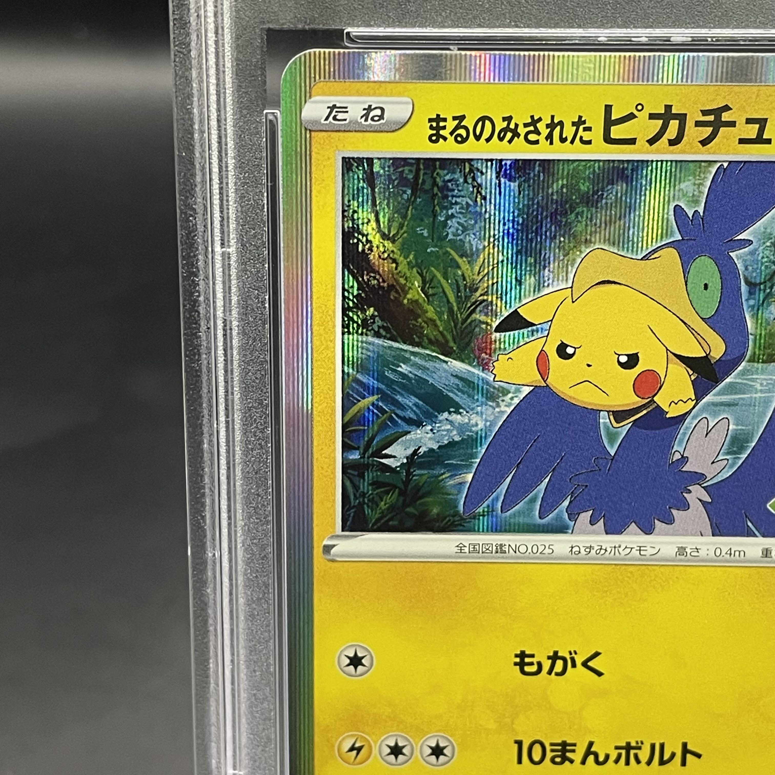 PSA10】まるのみされたピカチュウ プロモ ポケモンカード PSA10鑑定済