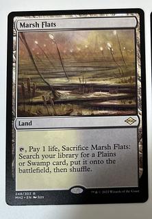 湿地の干潟 英語 拡張 4枚セット 湿地の干潟 英語 拡張 4枚セット 湿地