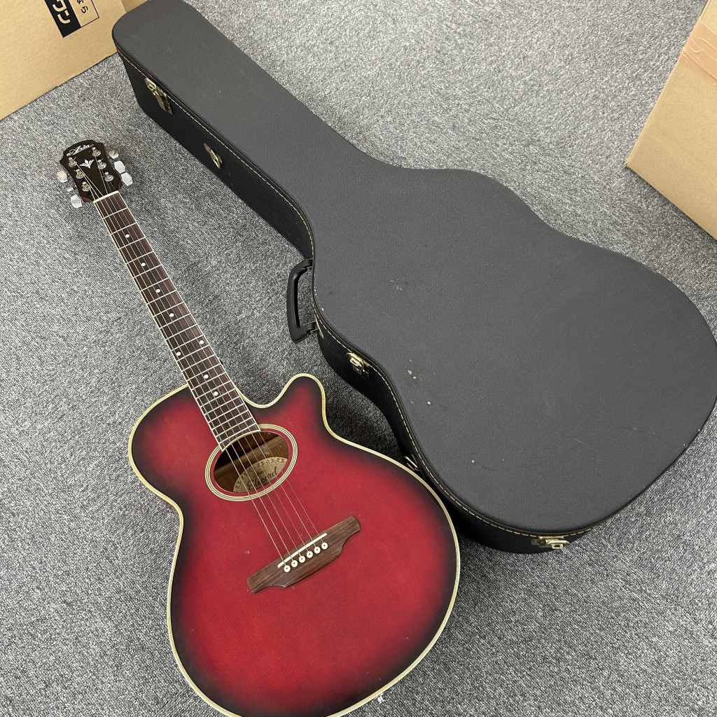 Aria アリア エレクトリックアコースティックギター FET-500EBS Aria