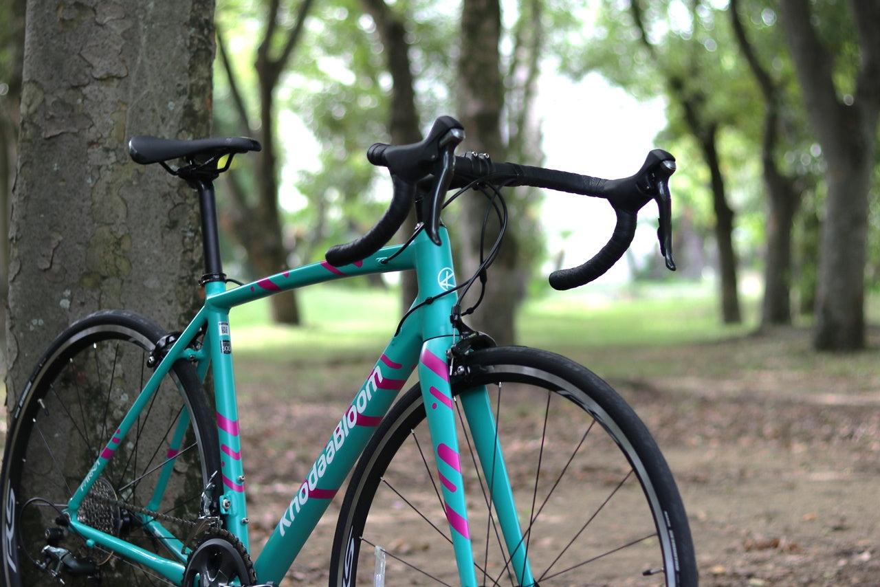 新色追加！サイクリングをこれから楽しみたい方にお勧めなロードバイク