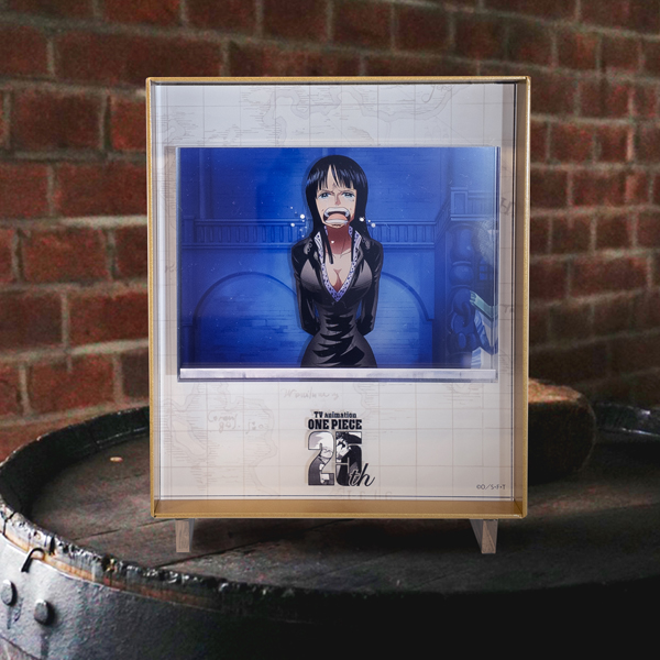 ワンピース】25 Eternal Shots プレミアムアクリルアートフレーム 16