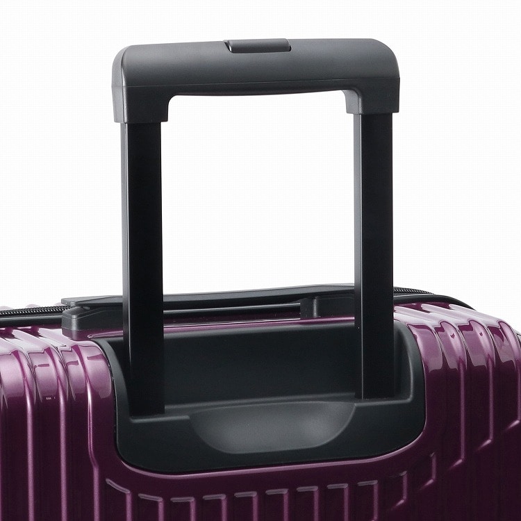 WEB限定】 ACE クレスタ スーツケース 64/70L エキスパンド機能 06317