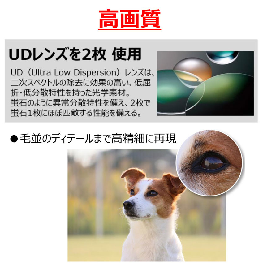 RF-S55-210mm F5-7.1 IS STM：通販 | RFレンズ - キヤノンオンライン