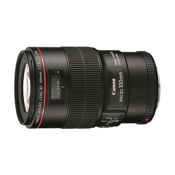 EF100mm F2.8L マクロ IS USM □納期約1週間:交換レンズ 通販