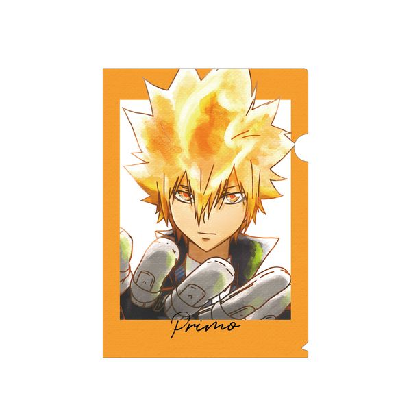 家庭教師ヒットマンREBORN リボアニ ポストカード 沢田綱吉 プリーモ