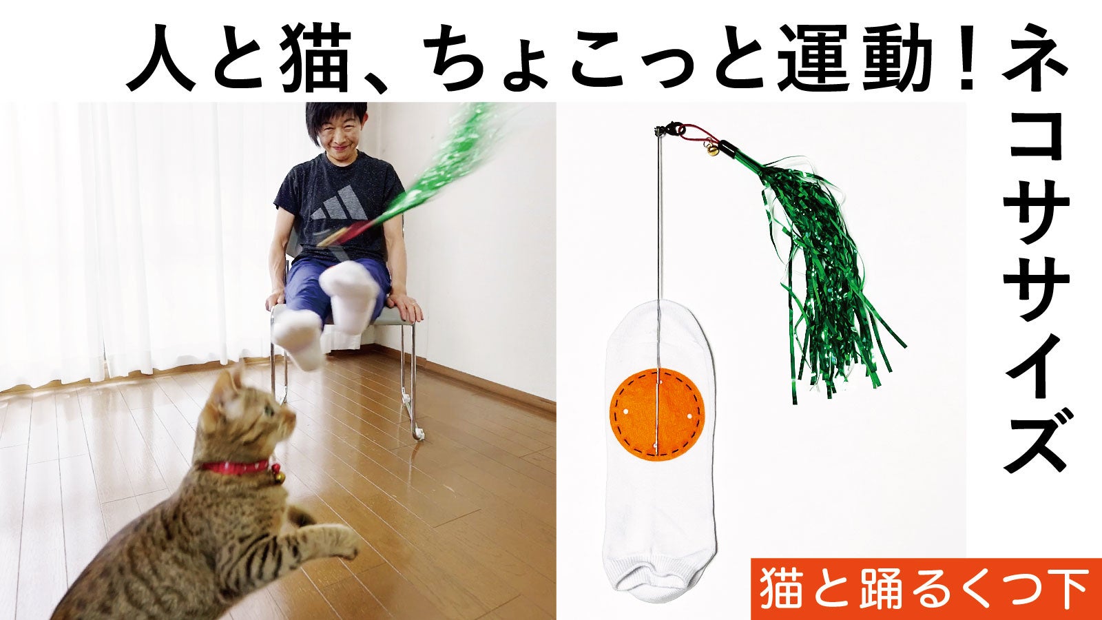 椅子に座って、猫と遊びながら足を動かすことで脚や体幹の運動に！【猫