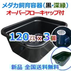 メダカ飼育ケース 120㍑x3個 黒・濃緑あり オーバーフロー 金魚飼育