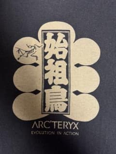 貴重品 日本限定 arcteryx 漢字 大入 始祖鳥 Tシャツ M - メルカリ