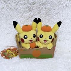 ✨️タグ付美品】ポケモンストア 愛媛 ペアピカチュウ えひめみかん
