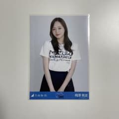 m66833936311_1.jpg?1714749750