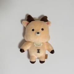 RIIZE ソンチャン ウラッバム ぬいぐるみ 10cm バレンタインMD - メルカリ