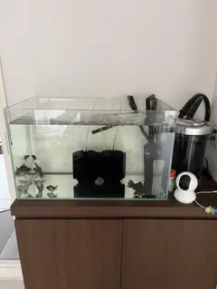 2026年最新】ada 水槽 60の人気アイテム - メルカリ