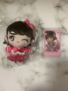 2026年最新】小泉遥香 ぬいぐるみの人気アイテム - メルカリ