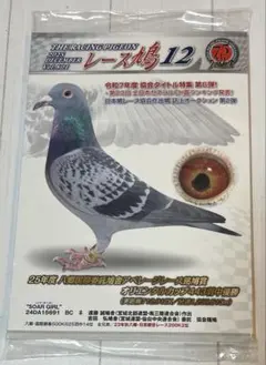 2026年最新】レース鳩の人気アイテム - メルカリ