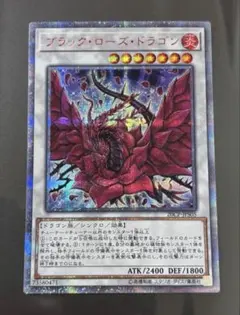 2026年最新】ブラックローズドラゴン 20thの人気アイテム - メルカリ
