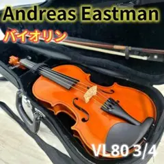 2026年最新】EASTMAN vl80の人気アイテム - メルカリ