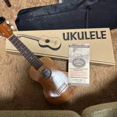 2026年最新】famous fs-5 ウクレレの人気アイテム - メルカリ