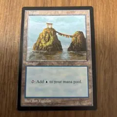 2026年最新】アリーナランドの人気アイテム - メルカリ