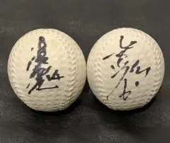 2026年最新】津田恒実サインの人気アイテム - メルカリ