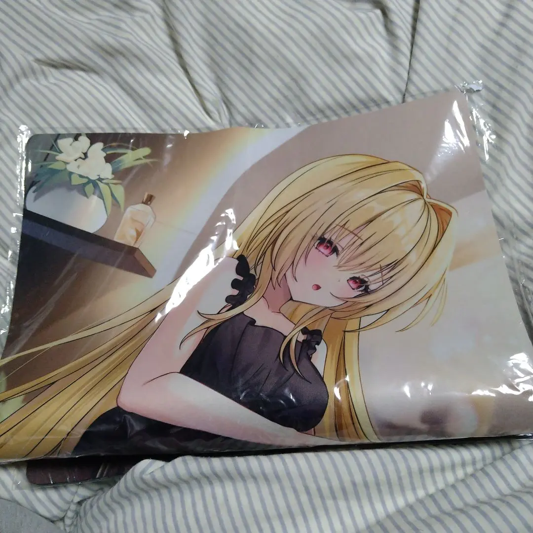 m10480127903_1.jpg?1763812824