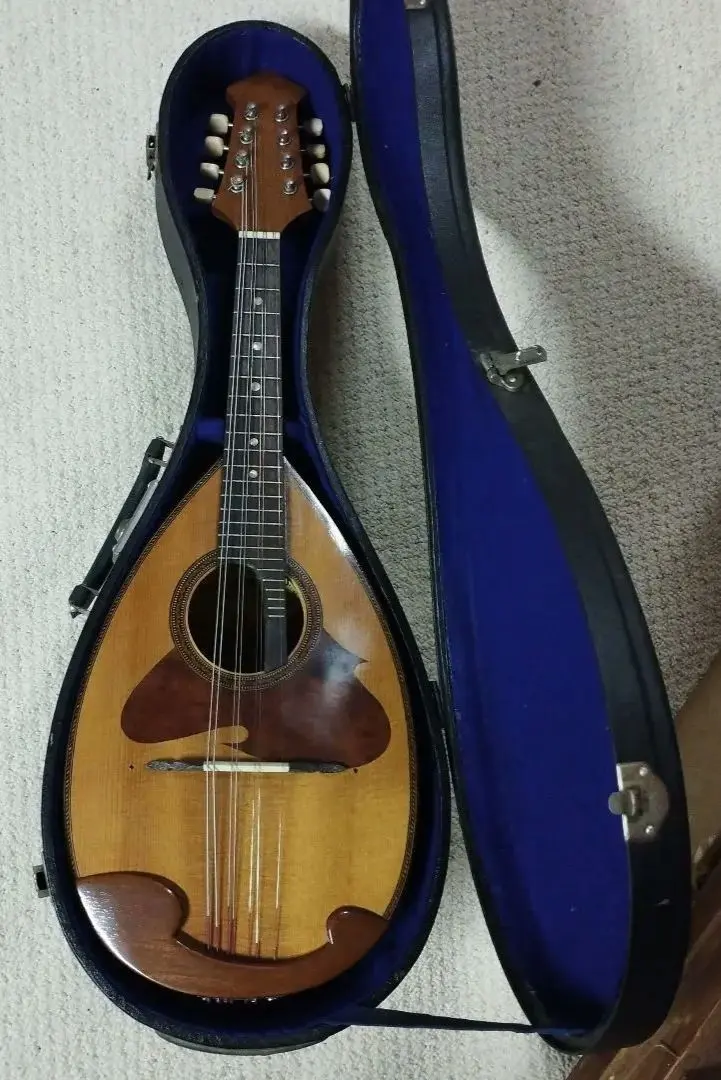 マンドリンSUZUKIバイオリン社製ハードケース付き228送料込み