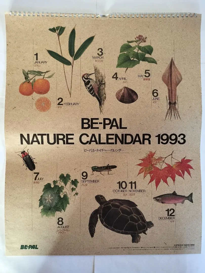 2026年最新】古いビーパルの人気アイテム - メルカリ