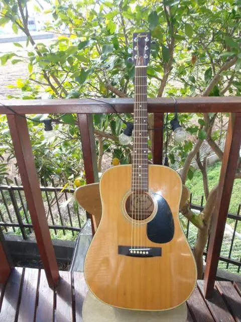 2026年最新】寺田楽器 ジャガードの人気アイテム - メルカリ