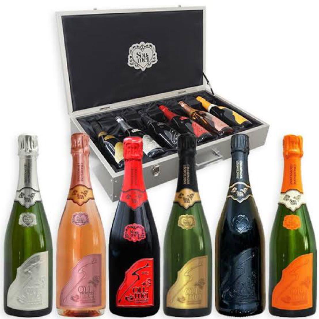 正規品 ソウメイアタッシュケース5本セット - メルカリ