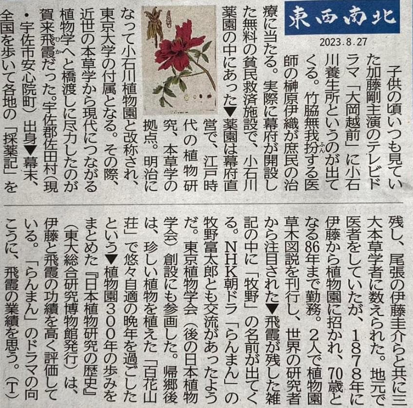 賀来飛霞 彩色花弁圜 希少 墨彩画 日本画 牧野富太郎 小石川植物園