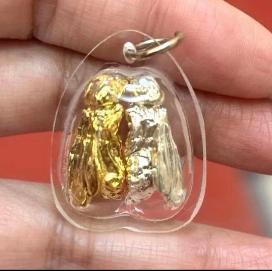 タイプラクルアン 蝉 商売繁盛 金運呼び寄せお守り - メルカリ